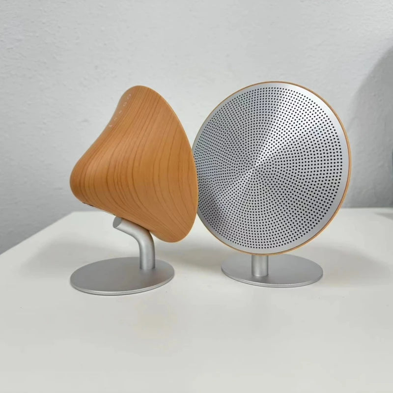 Enceinte Bluetooth Rétro | Tokko Studio.