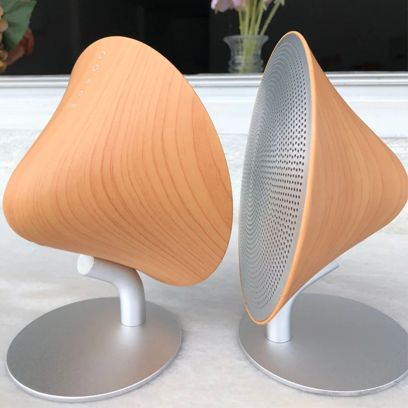 Enceinte Bluetooth Rétro | Tokko Studio.