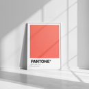 Pantone - Tokko Studio