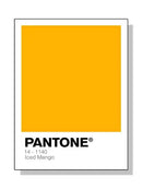Pantone - Tokko Studio