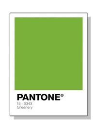 Pantone - Tokko Studio