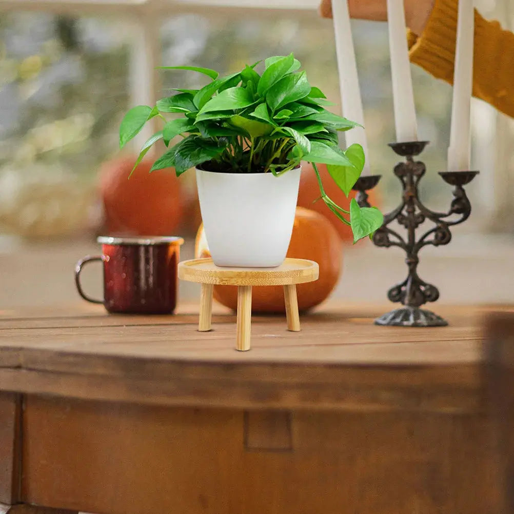 Support pour Vase ou Plante |  Tokko Studio.