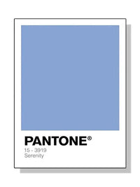 Pantone - Tokko Studio