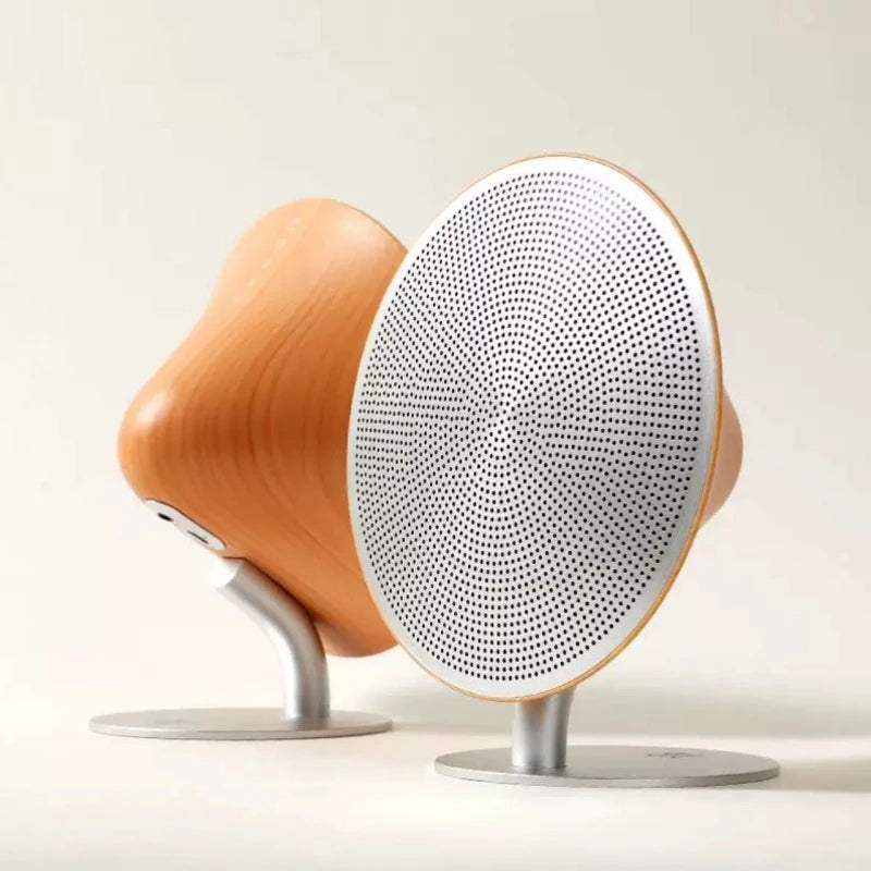 Enceinte Bluetooth Rétro |  Tokko Studio.