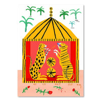 Safari - Tokko Studio