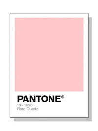 Pantone - Tokko Studio