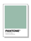 Pantone - Tokko Studio