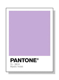 Pantone - Tokko Studio