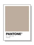 Pantone - Tokko Studio