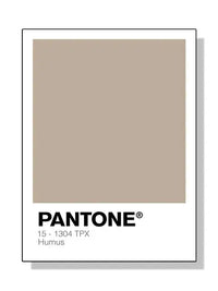 Pantone - Tokko Studio