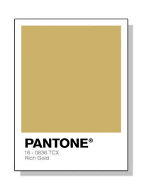 Pantone - Tokko Studio